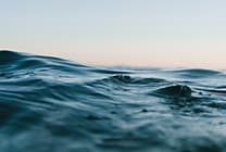Cap sur la Côte-Ouest Française : ces marques qui s'inspirent  [...]