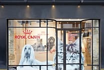 [Reportage] Royal Canin teste le retail physique à Paris