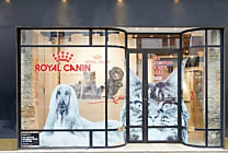[Reportage] Royal Canin teste le retail physique à Paris
