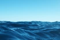 Journée mondiale des océans : quelles sont les activations de  [...]