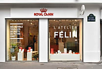 [Reportage] L'Atelier félin, le pop-up store de Royal Canin