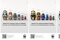 Cartier, WWF-France, Care France... Les 5 campagnes de la semaine (11 au 15 décembre)