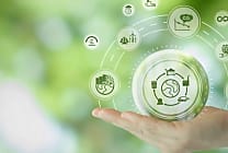 Zoom sur 8 enseignes qui proposent des alternatives 'green' dans leurs magasins