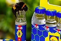 [Best-of 2024] Les initiatives RSE les plus marquantes