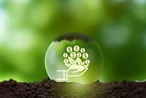 [Dossier complet] Les retailers passent au green