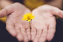 Marketing de l'engagement : les marques font-elles preuve  [...]