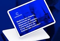 [Livre Blanc] Maîtrise des risques, conformité des dépenses et visibilité :  [...]
