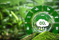 Transition écologique : l’UGAP agit pour réduire son empreinte carbone