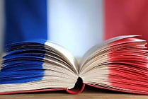 Data.gouv.fr : de l'UI à la recherche, un défi d'accessibilité  [...]