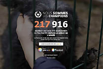 YouCare alerte sur l'abandon animal avec une campagne choc