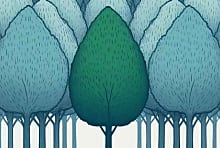 IT for green : trop de projets manquent de visibilité