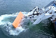Le biomimétisme à la rescousse de la décarbonation du fret maritime ?