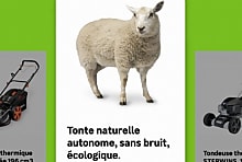 Avec 'Plan Bêêê', Leroy Merlin remplace la tondeuse par des moutons