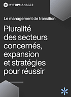 Le management de transition : Pluralité des secteurs concernés, expansion et  [...]