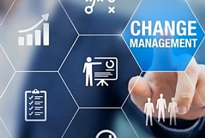 Analyse du marché du management de transition 2024 & Perspectives 2025