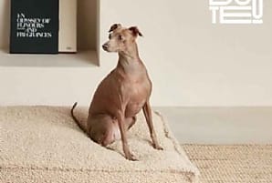 La Redoute investit le marché des animaux de compagnie