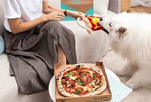 Deliveroo et French Bandit : un menu duo humain-animal
