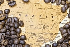 Droits de douane et marché du café : Quels impacts sur le  [...]