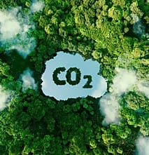 Réformes du marché du carbone : nouvelles stratégies en vue