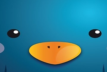 Résultats : Twitter arrive rapidement à saturation