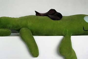 Quiz Silicon.fr - Savez-vous tout de l'histoire de SUSE ?