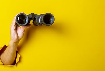Leboncoin Publicité lance une plateforme d'insight
