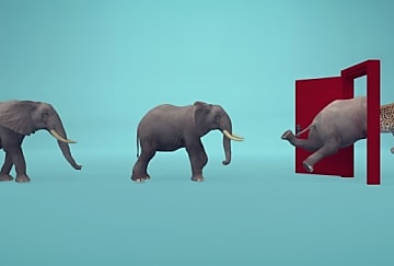 La conduite du changement, l'âme de la transformation digitale