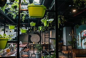 Start-up à impact : un écosystème en croissance