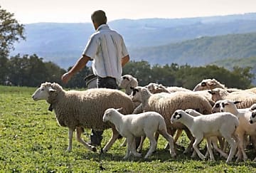 Les entreprises pour l'environnement (EpE) lancent la publication  [...]