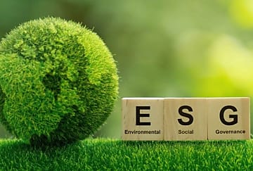 Les directions financières, nouveaux piliers pour piloter la transformation ESG ?