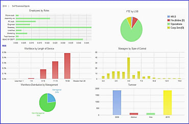 SAP HANA, BO Strategic Workplanning