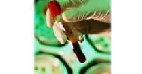 Searchmedica.fr : un moteur de recherche dédié aux médecins