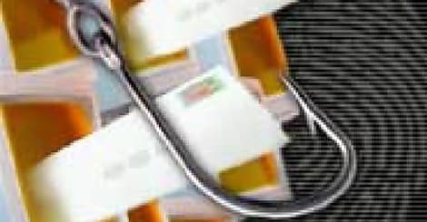 Spam et Spear-Phishing, les deux grandes tendances de l'année