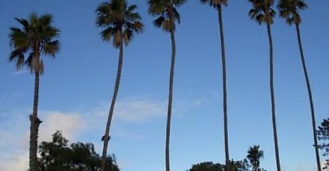 Tendance : l'île Maurice mise sur les délocalisations d'entreprises françaises