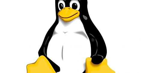 Les clones de la Red Hat Linux 6.2 débarquent sur le web