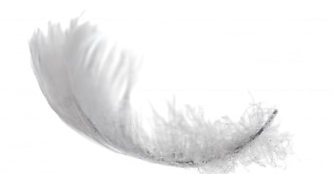 Le nombre de contributions au projet Plume du CNRS s'envole
