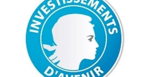 Les Investissements d'avenir s'intéressent au Big Data