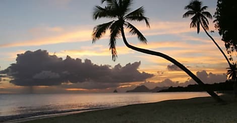 SMS illimités vers les DOM chez Free, y compris Mayotte