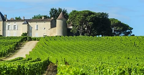 Pourquoi le négociant en vin Advini met SAP Hana en bouteille