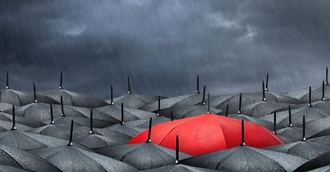 Audits de licences Oracle : le piège des options payantes