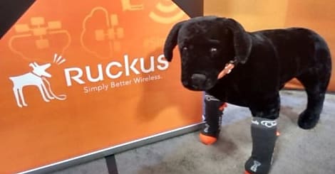 Après Brocade, Ruckus Wireless passe entre les mains de Arris