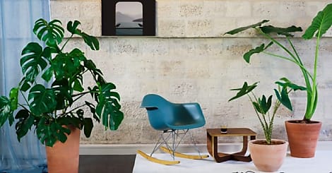 [Strat-up sourcing] La Grande Serre met les bureaux au vert