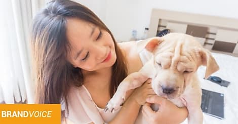 Le business des animaux : un marché en pleine expansion!