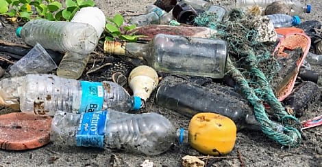 Quelles sont les marques les plus engagées pour l'environnement ?