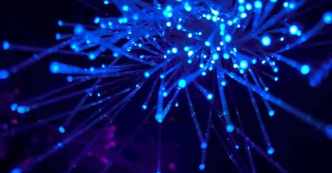 Métavers : réalité ou utopie ?