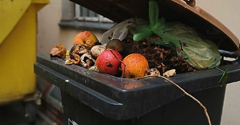 [Etude] Combien coûte le gaspillage alimentaire aux Français ?