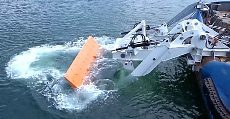 Le biomimétisme à la rescousse de la décarbonation du fret maritime ?