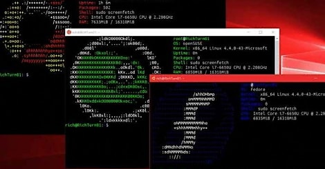 Build 2025 : WSL, un passage symbolique en open source