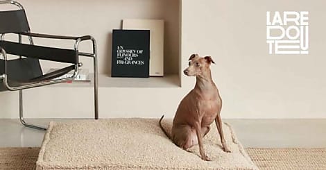La Redoute investit le marché des animaux de compagnie