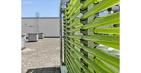 Un datacenter bio-circulaire pour la production d'algues